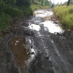 Puluhan Tahun Masyarakat Kecamatan Teluk Pandan Desa Muncak Harapkan Perbaikan Jalan 