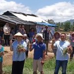 Cawabup Pesawaran Supriyanto Hadiri Panen Raya dan Serap Aspirasi Petani Bawang