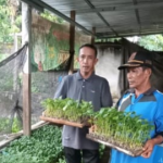 Realisasikan Program Dana Desa (DD) Tahun 2024,Tiyuh Marga Sari di Tubaba