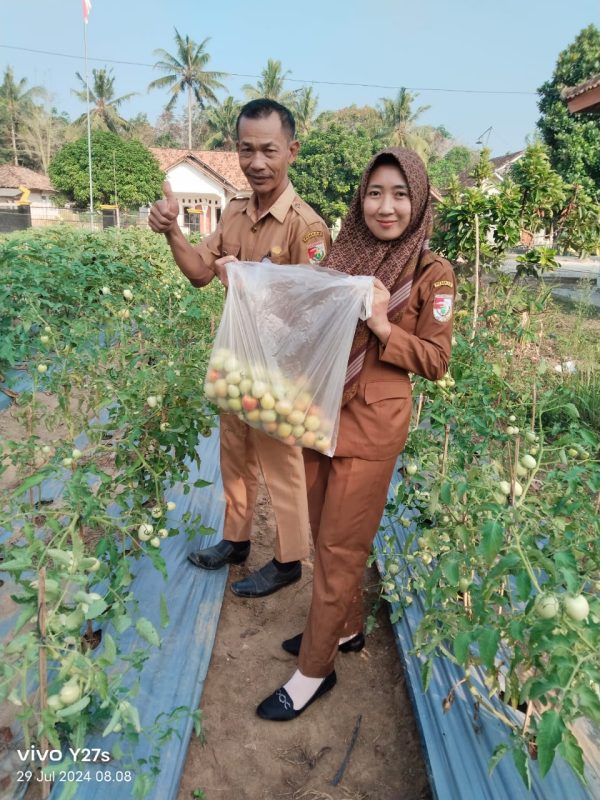 BUMTi Pancamarga Dukung Ketahanan Pangan Lewat Penggemukan Kambing dan Pemberdayaan KWT