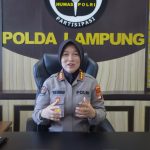 Polsek Semaka dan Warga Tanggamus Berjuang Giring Gajah Liar Kembali ke Hutan