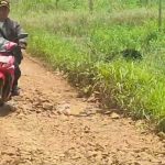 Warga Pekon Kemilin Gerak Cepat Perbaiki Jalan Rusak, Pemkab Pringsewu Diminta Turun Tangan