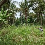 Warga Pekon Kemilin Mendesak Pemerintah dan PLN: Keselamatan Listrik dan Infrastruktur Harus Segera Dibangun