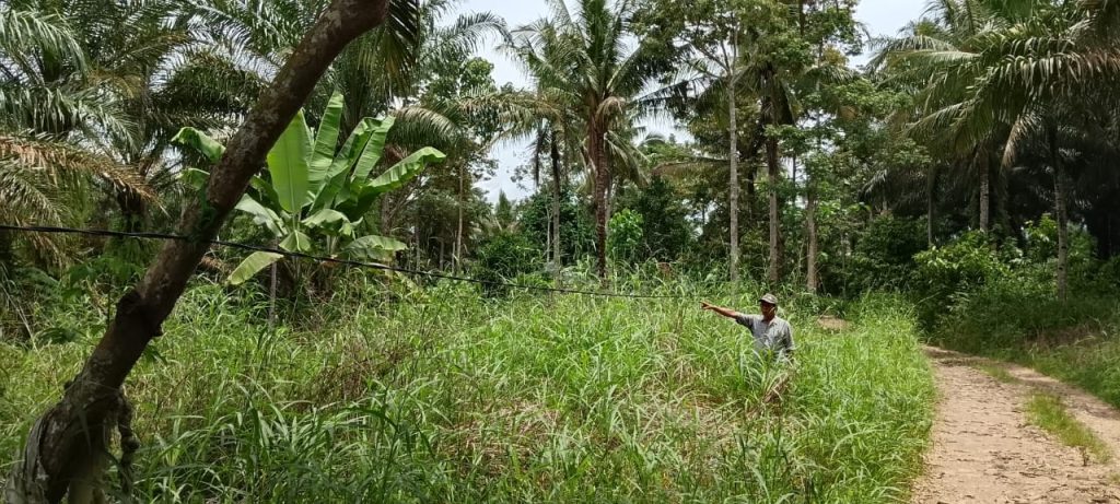 Warga Pekon Kemilin Mendesak Pemerintah dan PLN: Keselamatan Listrik dan Infrastruktur Harus Segera Dibangun