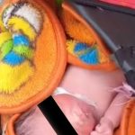 Miris! Bayi Laki-Laki Ditinggal dalam Tas di Bandar Lampung, Kini dalam Perlindungan Pemerintah