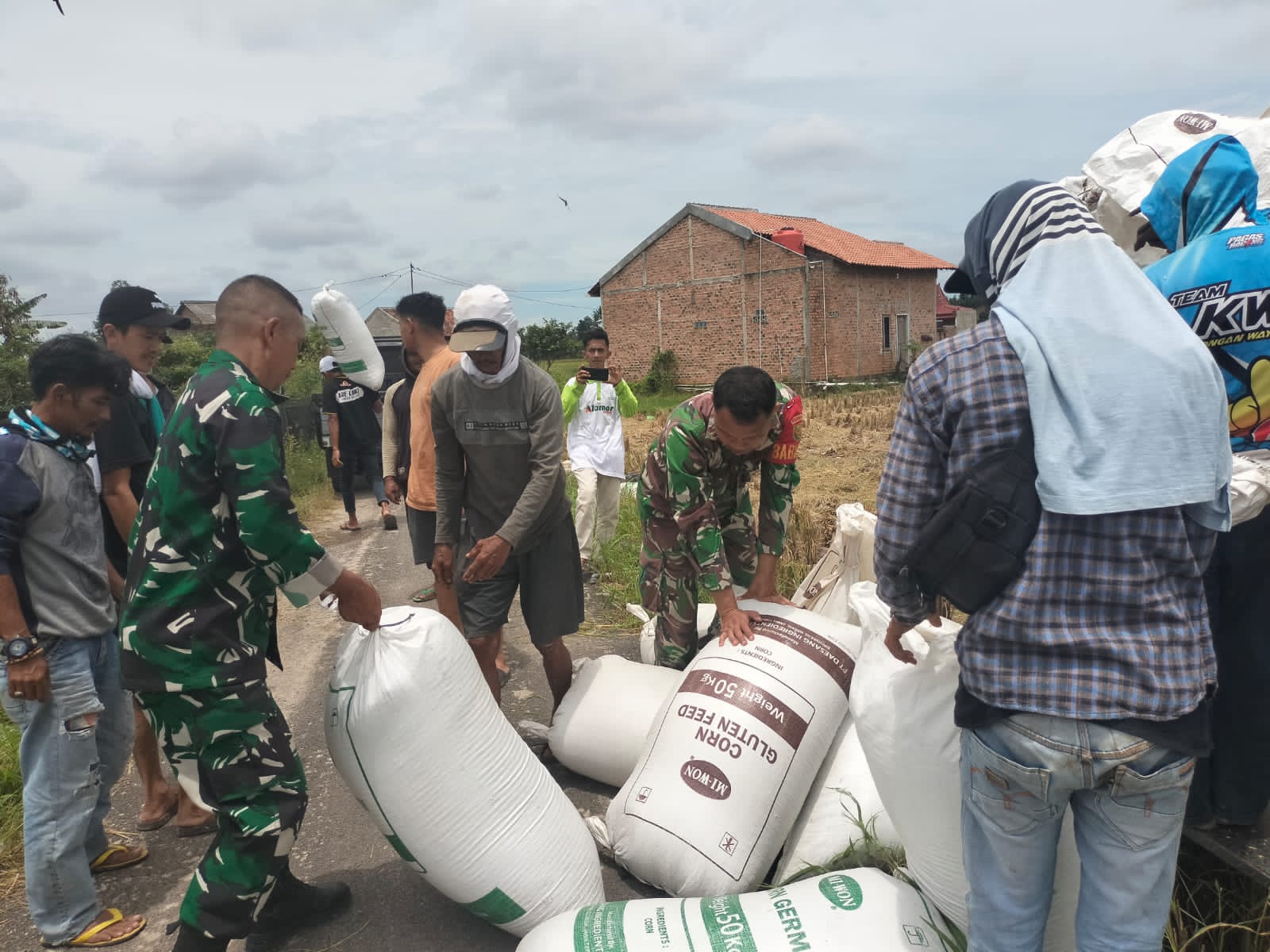 Koramil 410-06/KDT Panen Raya Padi: Ketahanan Pangan Kuat, Petani Sejahtera!
