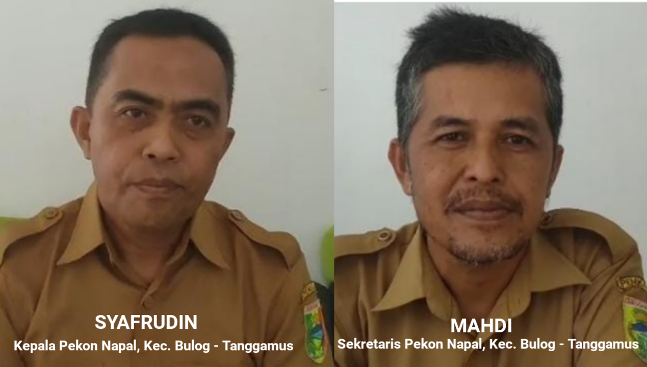 Syafrudin Tancap Gas! Pekon Napal Bangun Infrastruktur dan Pemberdayaan Warga Secara Merata