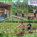 Bhabinkamtibmas Polres Pesawaran Dorong Ketahanan Pangan Lewat Pemantauan Lahan dan Peternakan Warga
