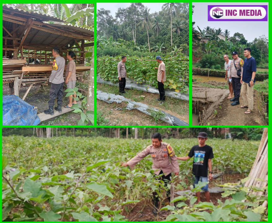 Bhabinkamtibmas Polres Pesawaran Dorong Ketahanan Pangan Lewat Pemantauan Lahan dan Peternakan Warga