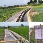 Pemerintah Pekon Sukaratu Bangun Jalan Usaha Tani dari Dana Desa 2025, Masyarakat Sambut Gembira