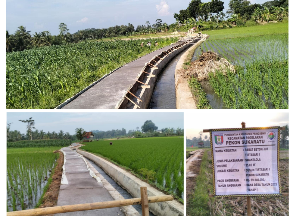 Pemerintah Pekon Sukaratu Bangun Jalan Usaha Tani dari Dana Desa 2025, Masyarakat Sambut Gembira