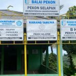 Pekon Selapan Salurkan BLT Dana Desa 2025 untuk 37 KPM Lansia