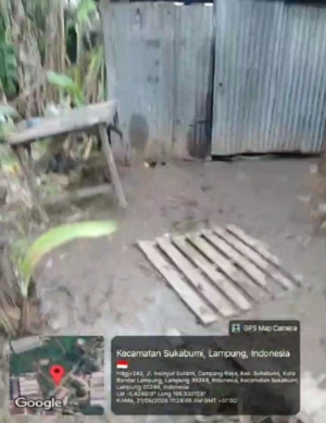 BBM Ilegal Lampung Menggurita, Oknum TNI AL TB Diduga Kendalikan 6 Gudang Solar Subsidi