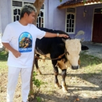 Omped Visual Tebar Kepedulian di Idul Adha 1447 H, Serahkan Sapi Kurban Terbesar ke Mushola