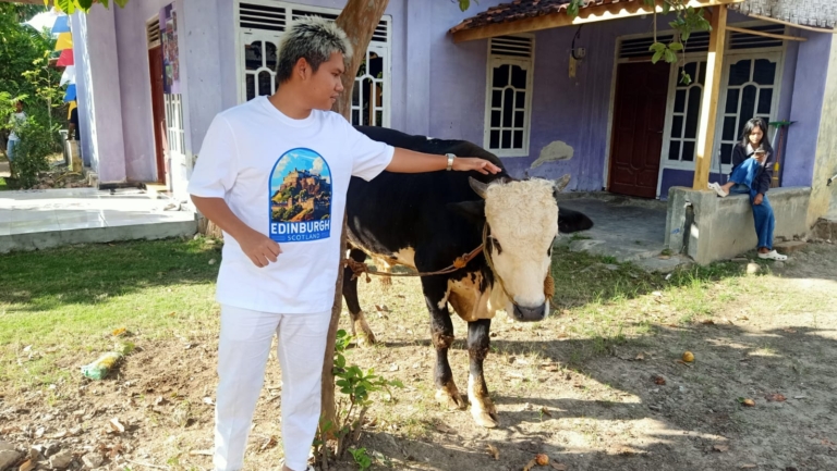 Omped Visual Tebar Kepedulian di Idul Adha 1447 H, Serahkan Sapi Kurban Terbesar ke Mushola