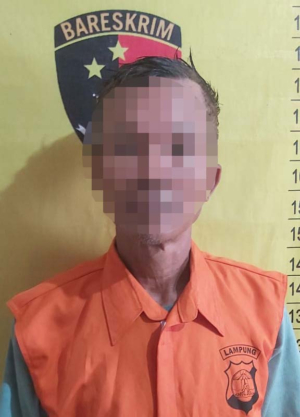 Kepergok Curi Handphone dari Tas Petani, Pria di Palas Diamankan Polisi