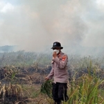 Karhutla TN Way Kambas Meluas, 673,4 Hektare Terbakar di Lampung Timur