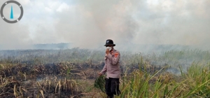 Karhutla TN Way Kambas Meluas, 673,4 Hektare Terbakar di Lampung Timur