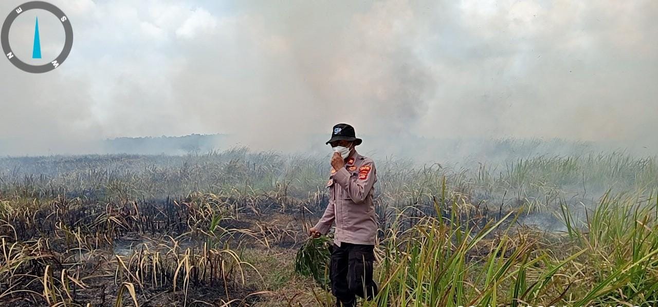 Karhutla TN Way Kambas Meluas, 673,4 Hektare Terbakar di Lampung Timur