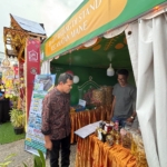 Wagub Aceh Keliling Hampir Seluruh Stand Expo UMKM Pidie, Produk Lokal Laris Diborong